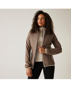 Regatta Andreson Water-Repellent Warmloft Insulated Quilted Jacket - Brown