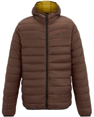 Regatta Marizion Hooded Insulated Jacket - Brown