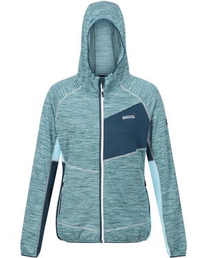 Regatta Attare Water-Repellent Softshell Jacket - Blue