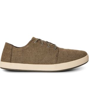 TOMS Canvasas Payt - Brown