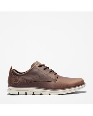 Timberland Bradstreet Low Lace Up Trainer Sadd - Brown