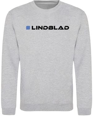 AWD Adults Printed F1 Sweatshirt - Grey