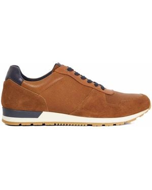 Dune Low-Top Trainers - Brown