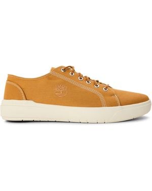 Timberland Seneca Bay Low Lace Up Trainer Spru - Brown