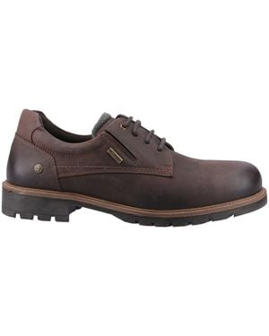 Cotswold Ebrington Shoes - Brown
