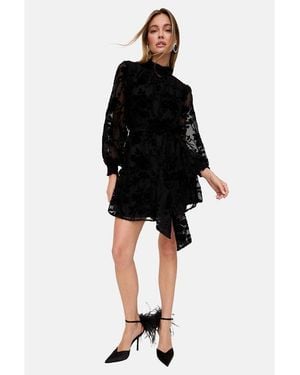 Lily and Lionel Brezze High Neck Velvet Burnout Mini Dress - Black