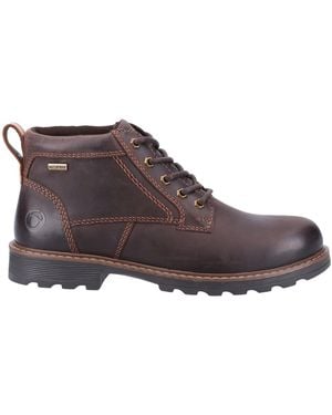 Cotswold Falfield Boots - Brown
