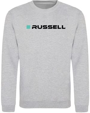 AWD Adults Printed F1 Sweatshirt - Grey