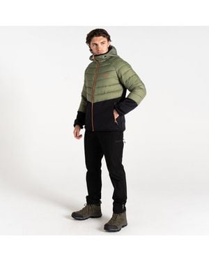 Dare 2b Torrekhybrid Insulated Puffer Jacket - Multicolour