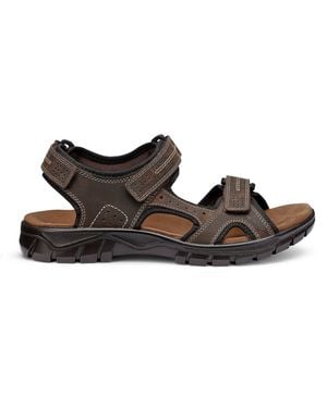 Hotter Lorenzo Active Sandals - Brown