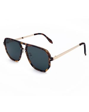 Storm Aviator Sunglasses - Black