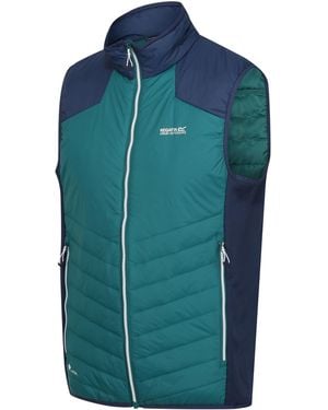 Regatta Insulated Tailored Fit Gilet - Blue