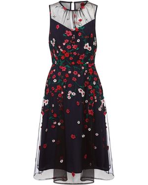 Phase Eight Sloane Mesh Ditsy Floral Dress - Black