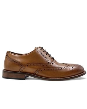 Firetrap Spencer Shoes - Brown