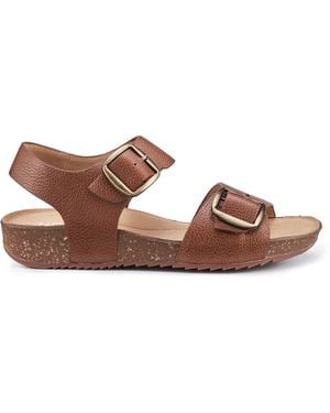Hotter Tourist Ii Sandals Standard Fit - Brown