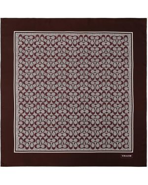 COACH Textured Signature C Printed Silk Square - Brown
