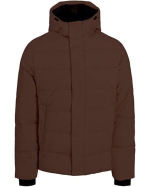 Jack & Jones Pace Insulated Medium Puffer Jacket - Brown