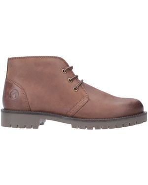 Cotswold Stroud Shoe Boot - Brown
