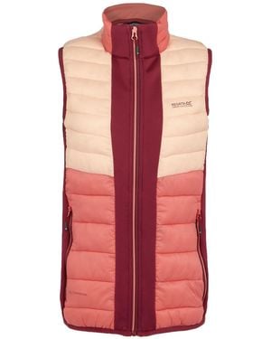 Regatta Leedre Hybrid Gilet - Pink