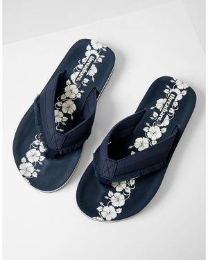 Threadbare August Flip Flop - Blue