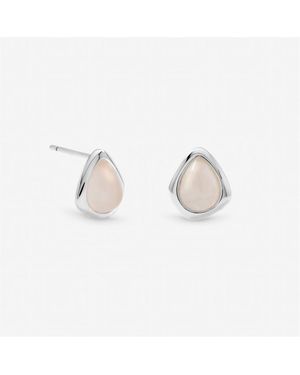 Inicio Sterling Plated Rose Polished Stud Earrings - Metallic