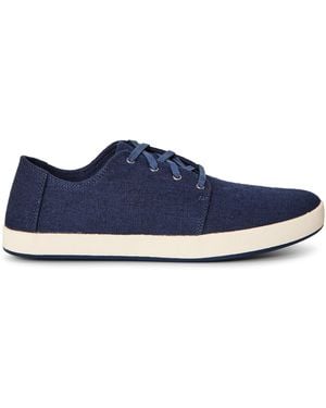 TOMS Canvasas Payt - Blue