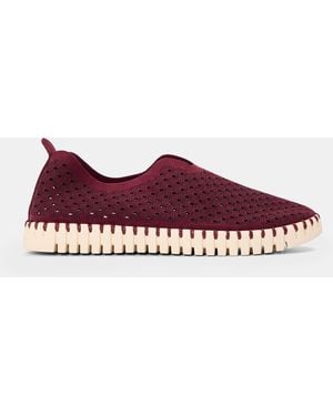 Ilse Jacobsen Tulip Shoe - Purple