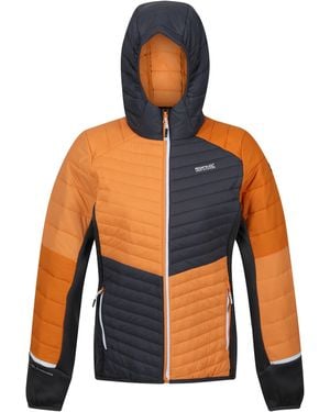Regatta Quilted Weather-Resistant Insulated Puffer Jacket - Blue