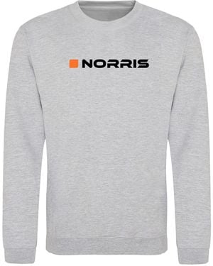 AWD Adults Printed F1 Sweatshirt - Grey