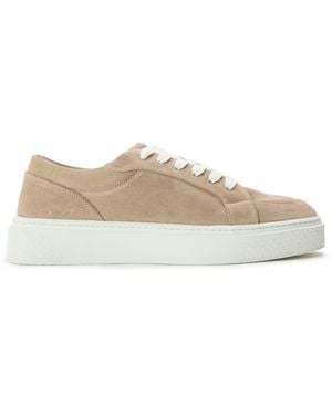 The Couture Club Axis Trainers - Brown