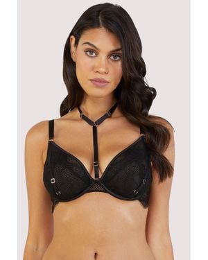 Playful Promises Felicity Hayward Fairfield Fishnet And Lace - Black