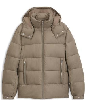 BOSS Hbb Colter Puff Jkt Sn64 - Multicolour