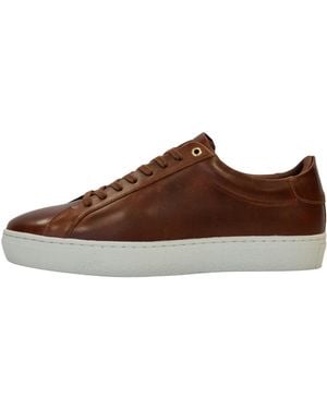 Firetrap Franck Low Trainers - Brown