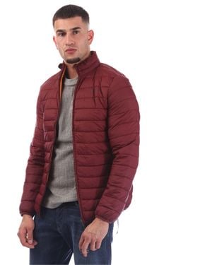 Aquascutum Long Sleeve Medium Puffer Jacket - Red