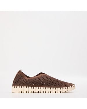 Ilse Jacobsen Tulip Shoe - Brown