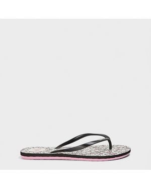 Roxy By The Sea Flip Flops - Multicolour