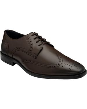Lotus Shoes Milton Shoe Brogues - Black