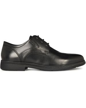 Geox Federico Shoes - Brown