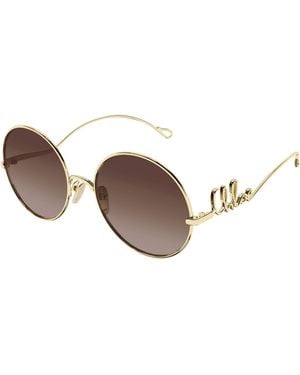 Chloé S Ch0372S Ld74 - Brown