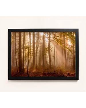 Laura Ashley Sunlit Trees Print - Metallic