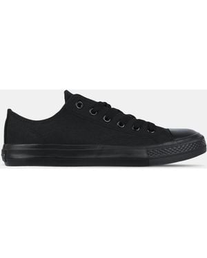 SoulCal & Co California Canvas Low Ladies Canvas Shoes - Black