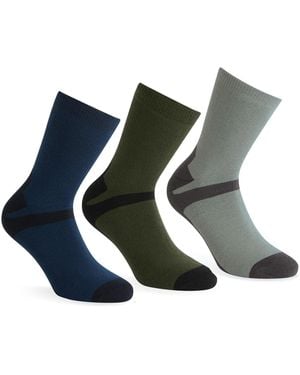 Regatta 3Pk Outdoor Lifestyle Sock - Blue