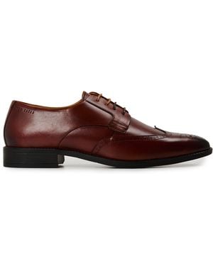 Ted Baker Brogue - Brown