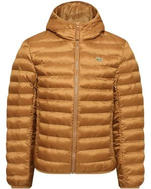 Lacoste Puf Jacket - Brown