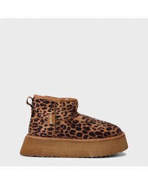 Steve Madden Campfire Snug Boots - Brown