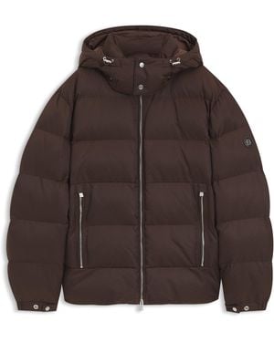 BOSS Cazadora Acolchada Hidrófuga Con Jacquard De Micro Monogramas - Marrón