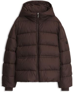 BOSS Cazadora Casual De Estilo Para El Tiempo Libre - Marrón