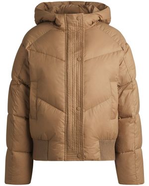 BOSS Equestrian Water-Repellent Padded Jacket - Brown