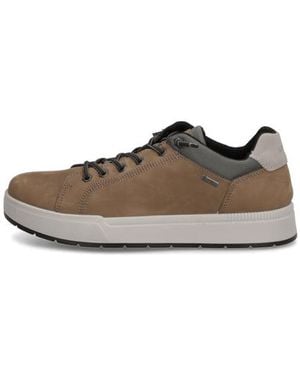 Igi&co Enea Gtx - Braun