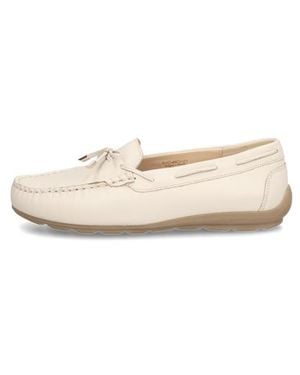 Ara Alabama Sport - Natur